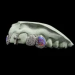 Iced Opal Cross Gap Filler Grillz - Image 3